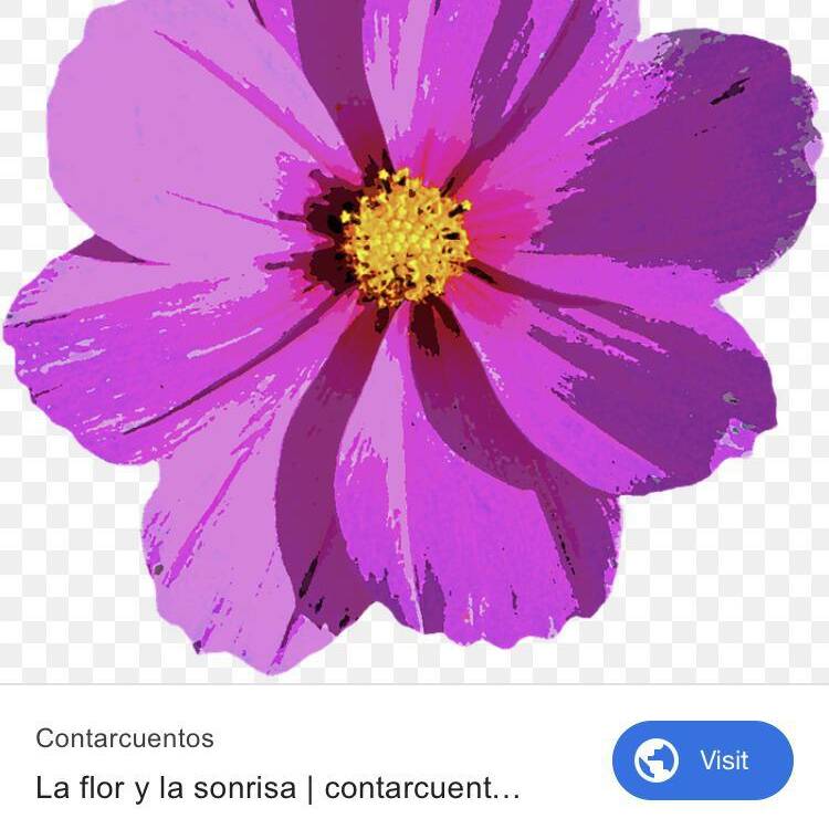 Foto de perfil de Laura