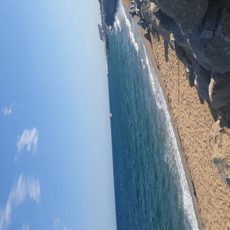 Foto de perfil de Yolanda
