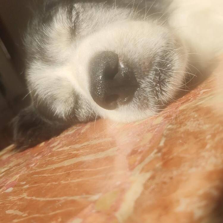 Foto de perfil de Rafa