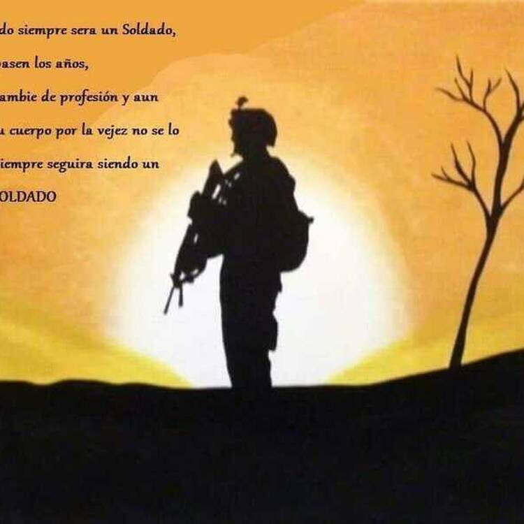 Foto de perfil de Alfonso