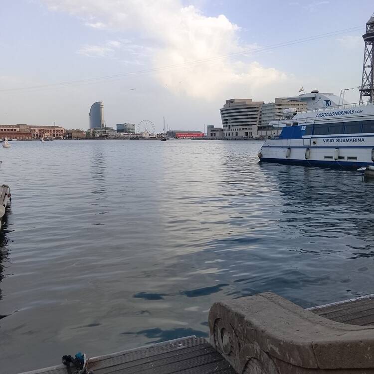 Foto de perfil de Mario