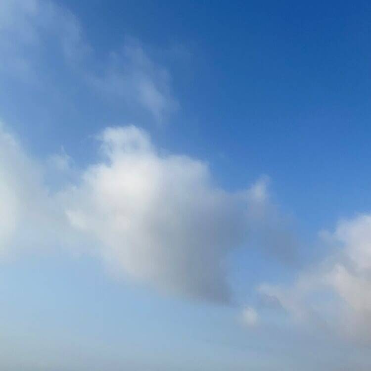 Foto de perfil de Patricia