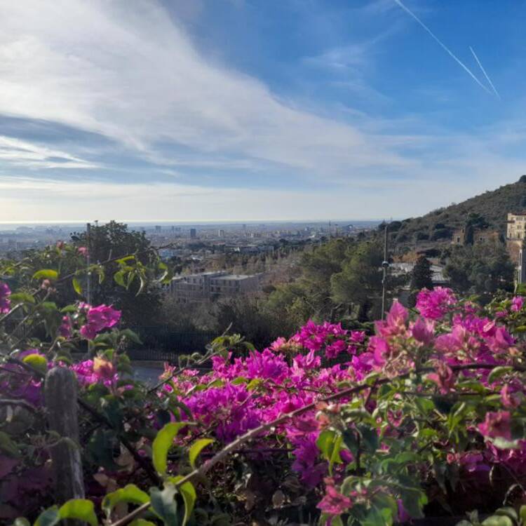 Foto de perfil de Ml