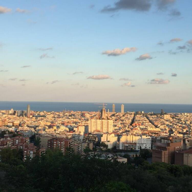 Foto de perfil de miro