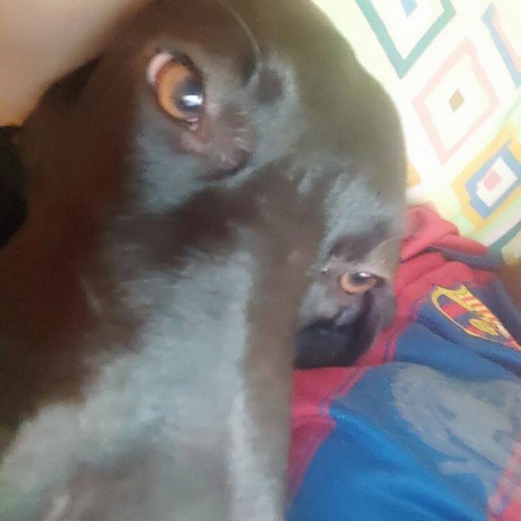 Foto de perfil de Juan