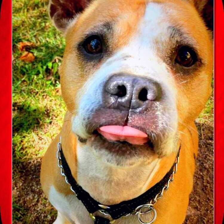 Foto de perfil de sandra