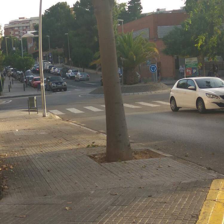 Foto de perfil de Rayan