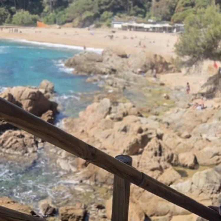 Foto de perfil de Saray
