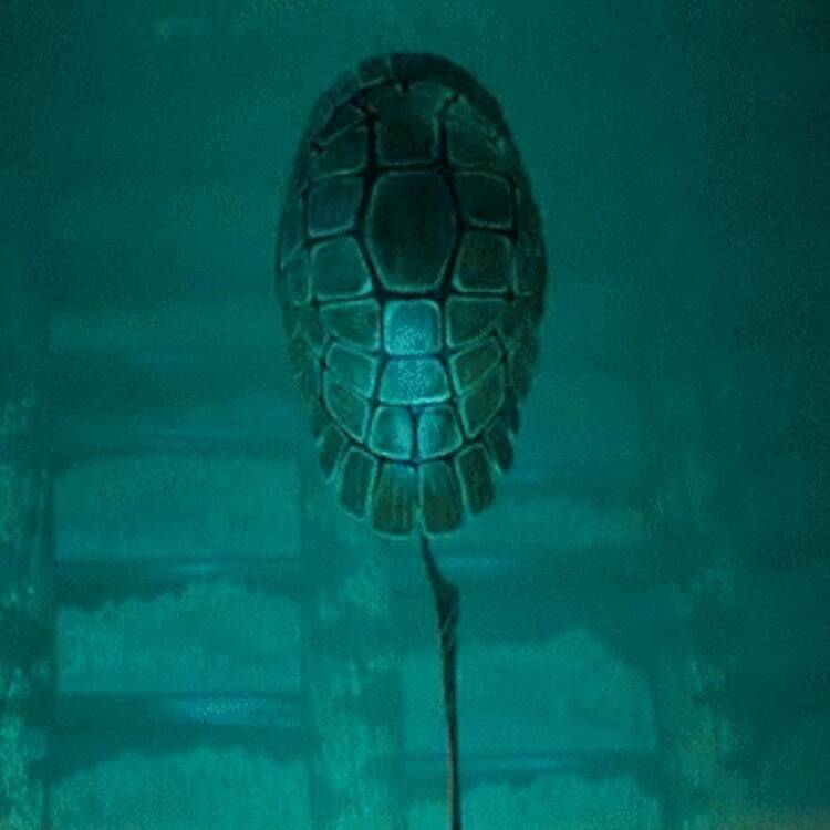 Foto de perfil de tenista