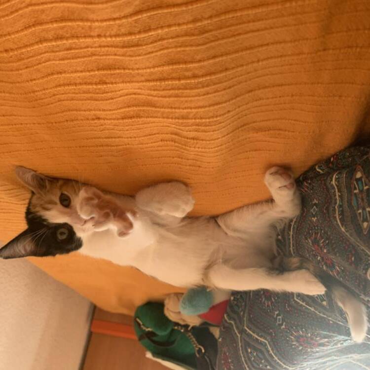 Foto de perfil de Rocio