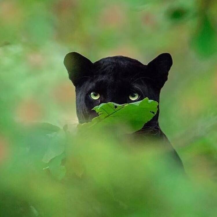 Foto de perfil de Montse