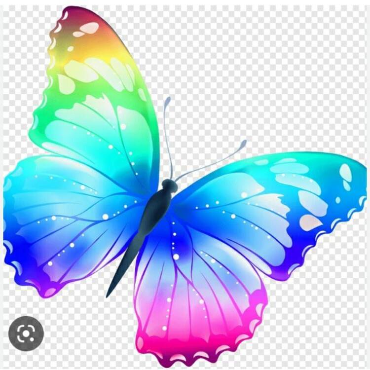 Foto de perfil de Mariposa