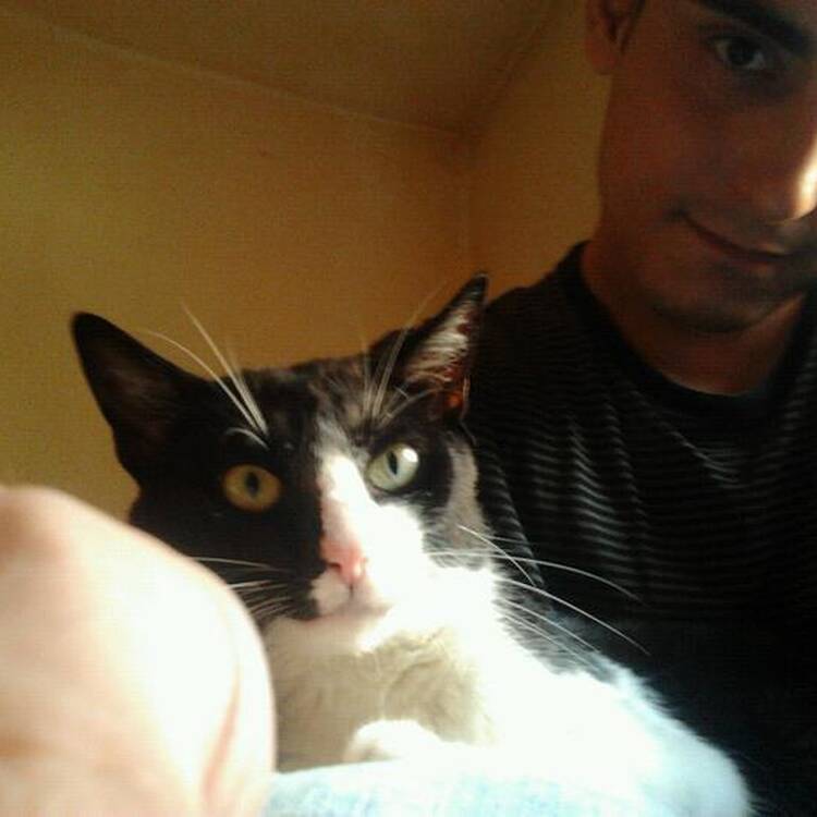 Foto de perfil