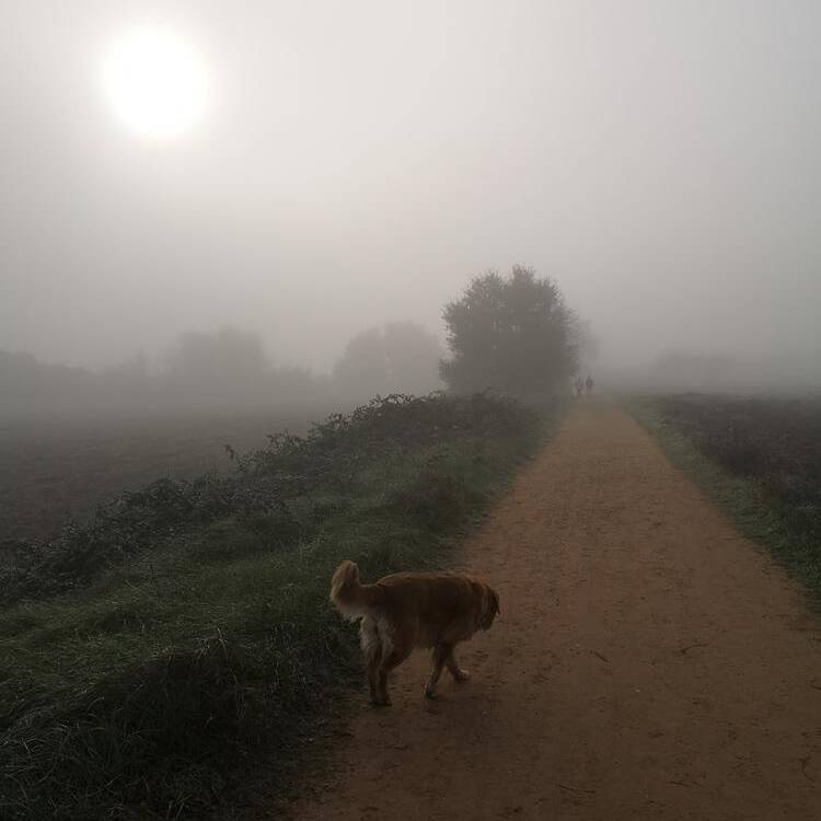 Foto de perfil de karme
