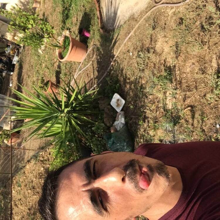 Foto de perfil de Sebas