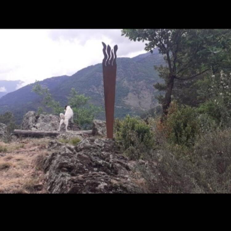 Foto de perfil de Gemma