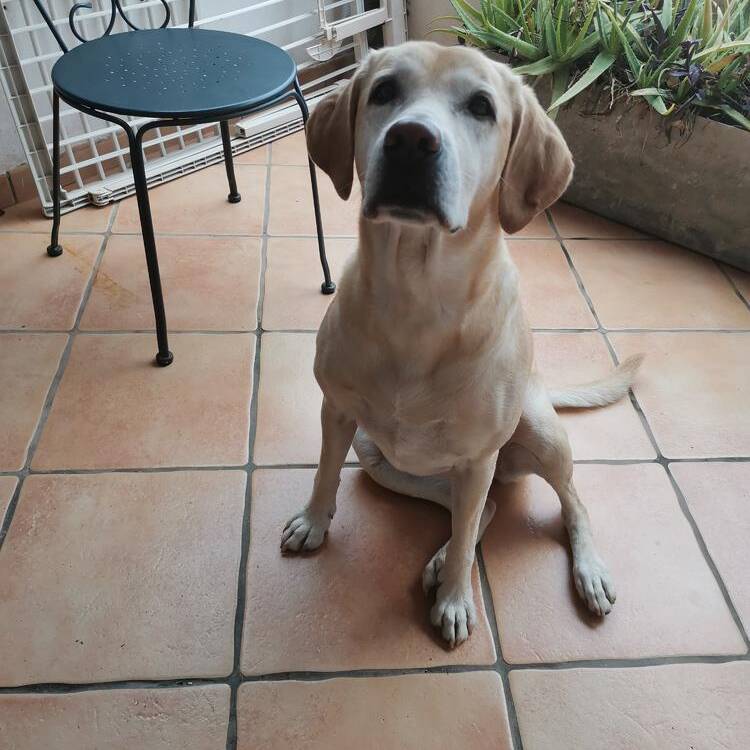 Foto de perfil de Maria