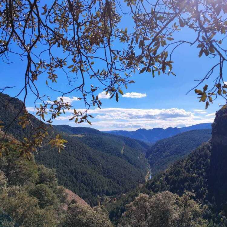 Foto de perfil de yolanda