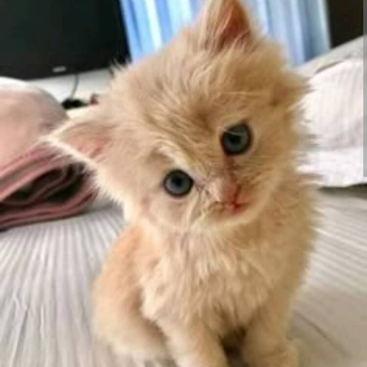 Foto de perfil de Salva