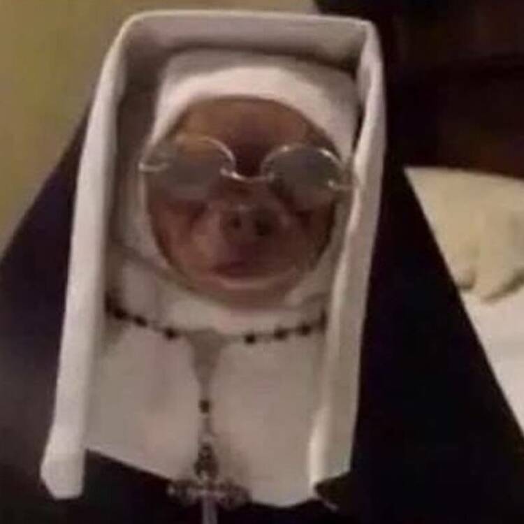 Foto de perfil de Cristian
