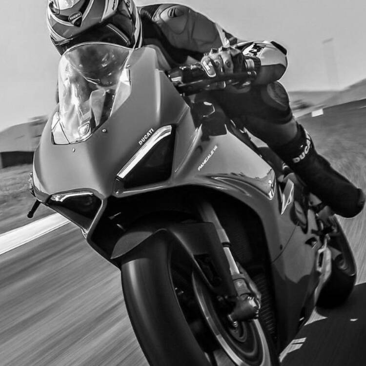 Foto de perfil