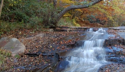 Parque natural del Montseny