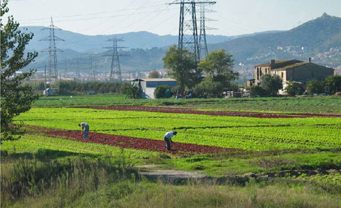 Parque agrario el Prat