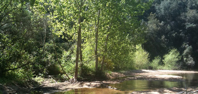 Parc del Montnegre y el corredor